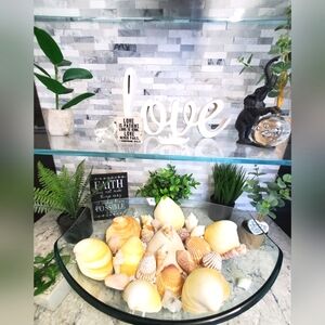 Natural Giant Cockle Sea Shells.